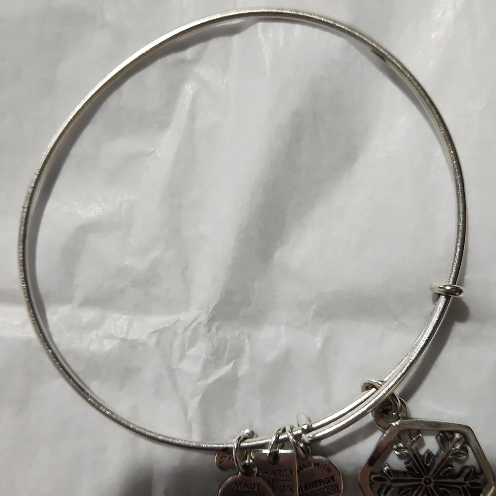 Alex and Ani Snowflake